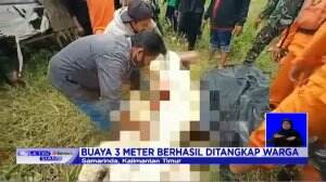 Jasad Seorang Bocah Dalam Perut Buaya di Samarinda