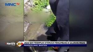 Jasad Bayi Di Temukan Mengambang Di Saluran Irigasi