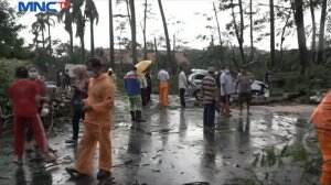 Pohon Tumbang Akibat Hujan Deras