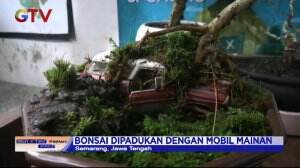 Kerajinan Bonsai Di Atas Mobil Mainan