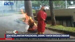 Petugas Damkar Bakar Sarang Tawon Raksasa Demi Keselamatan Pengendara