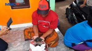 Seorang Petani Menemukan Sekarung Koin Bertuliskan Huruf Tiongkok