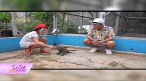 Irfan Hakim Kagum Dengan Wujud Iguana "Badak"