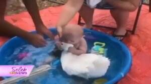 Aksi Lucu Dan Pintar Bayi Kecil