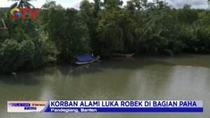 Seorang Wanita Diterkam Buaya di Pandeglang, Banten