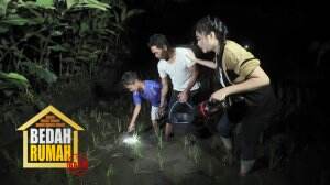 Mencari Belut Di Malam Hari Demi Cukupi Kebutuhan Hidup