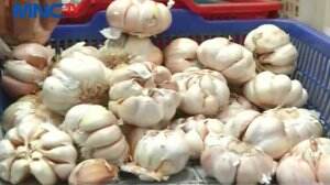 Harga Bawang Putih Asal Tiongkok Terus Alami Kenaikan