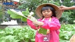 Agro Wisata Edukatif Mengasyikan Di Bogor