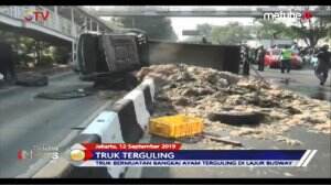 Truk Pengangkut Bangkai Dan Kotoran Ayam Terguling