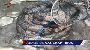 Lomba Unik : Menangkap Tikus