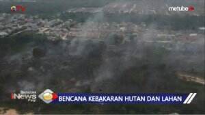 Bencana Kebakaran Hutan