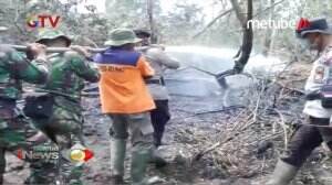 Kebakaran Hutan Di Riau Meluas