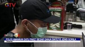 Polisi Tangkap Mahasiswa di Jakarta Pengedar Ganja Gorilla