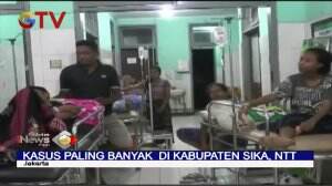 Kemenkes Catat terdapat 16 Ribu Kasus DBD Sejak Januari 2020 di Tanah Air