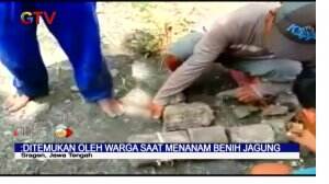 Warga Desa Sragen Temukan Fossil Gading Gajah Berusia Ratusan Tahun