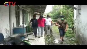 Panen Ganja di Halaman, Polisi Tangkap Dua Pemanen di Rumahnya