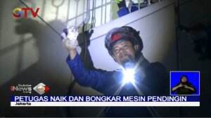 Petugas Damkar Evakuasi Anak Kucing yang Masuk ke Mesin Pendingin di Universitas Jakarta