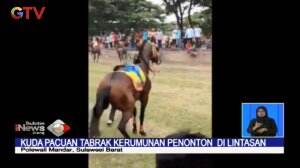 Detik-Detik Kuda Pacuan Tabrak Penonton Yang Tak Tertib