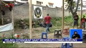 Pencuri Burung Rp250 Juta Ditangkap Polisi di Arena Lomba Burung
