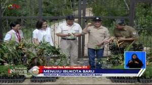 Pemindahan Ibu Kota Baru Dipastikan Tidak Ganggu Populasi Orang Utan di Kalimantan