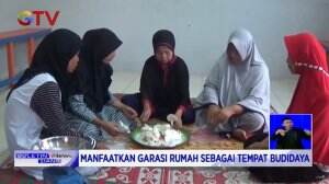 Pasutri Budidayakan Jamur Tiram Hingga Menjadi Pundi-Pundi Rupiah di Masa Pandemi