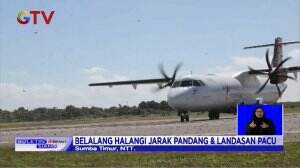 Belalang Kembara Duduki Bandara Ganggu Aktivitas Penerbangan