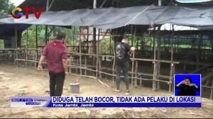 Arena Judi Sabung Ayam Dibongkar Petugas Kepolisian