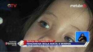 Fenomena 4 Warna Bola Mata