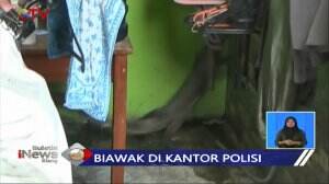 Heboh! Biawak Besar di Kantor Polisi Jatinegara