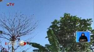 Langit Pangkalan Bun Tanpa Asap