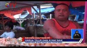 Harga Telur dan Ayam Naik di Lampung Jelang Natal dan Tahun Baru