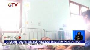Masuk Musim Penghujan, 184 Pasien Dirawat Akibat DBD di NTT
