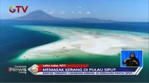 Uniknya! Memasak Kerang di Pulau Siput Nan Indah