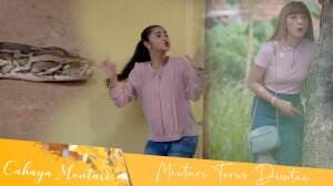Ada Yang Sengaja Mengirim Ular Untuk Mentari