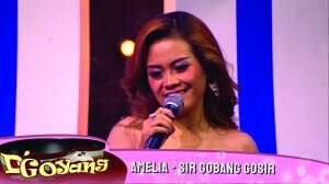 Auto Goyang Gar-Gara Amelia [SIR GOBANG GOSIR]