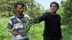 Lucky Melepaskan Ular Ke Habitat Asli