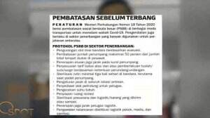 Viral Pesawat Penuh Pemudik