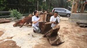 Reality Show, Menolong, Semangat, Miss Indonesia, Yolanda Tuasela, Angeline Stepahine, Frinca Evangeline, Marchelia Lunggaer