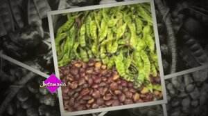 Lalapan Kesukaan Beberapa Artis Ibukota