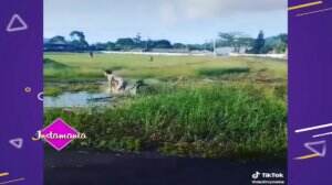 Gaya Selangit Yang Bikin Malu