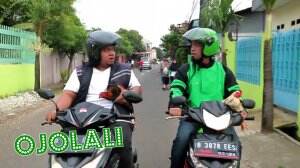 Gara - Gara Ayam Mereka Berdua Jadi Bertengkar