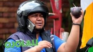 Lepas Burung Dara Kok Ada Yang Nemplok