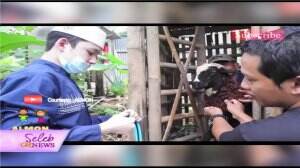 Alwi Mengisi Kegiatan Dengan Mengunjungi Kebun Binatang Miliknya
