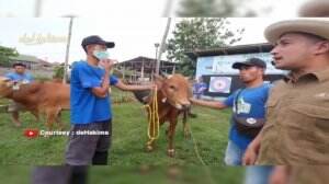 Irfan Hakim Siap Qurban