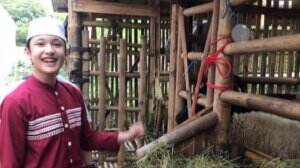 Alwi dan Aminah Jauh - Jauh Hari Serahkan Qurban