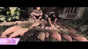 Irfan Hakim Sedih Kehilangan Ikan-Ikannya