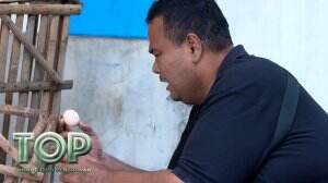 Ayam Peliharaan Bang Deddy Ilang Semua!