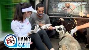 Keinginan Pak Pendi Untuk Ternak Kambing - Uang Kaget Eps. 71