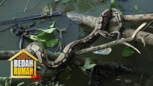 Bintang Tamu Rizky Amalia Terkejut Melihat Ular Saat Membantu Pak Sanen Mencari Ikan