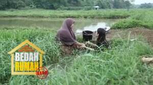 Novi Terpeleset Dan Menumpahkan Kijing Yang Telah Dikumpulkan